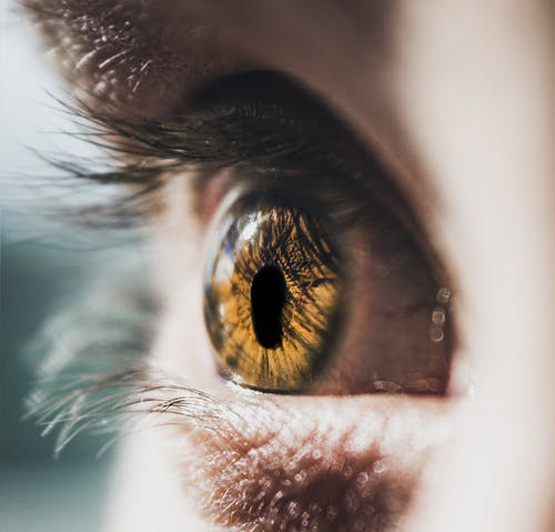 What Is Coloboma and How it Can Affect Your Vision?