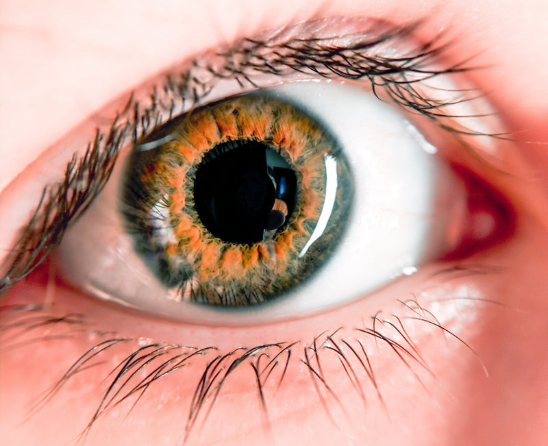 Dilated Pupils – what causes it and how to deal with it?